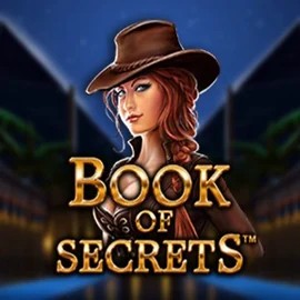 Play the Book of Secrets slot by SYNOT Games on AllySpin Casino