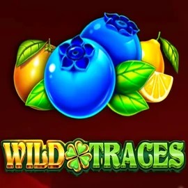 Wild Traces online slot from Amusnet Interactive – play at aallyspin.com
